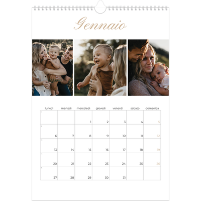 Calendario A3 verticale — Scatole con strisce fotografiche [Gennaio]